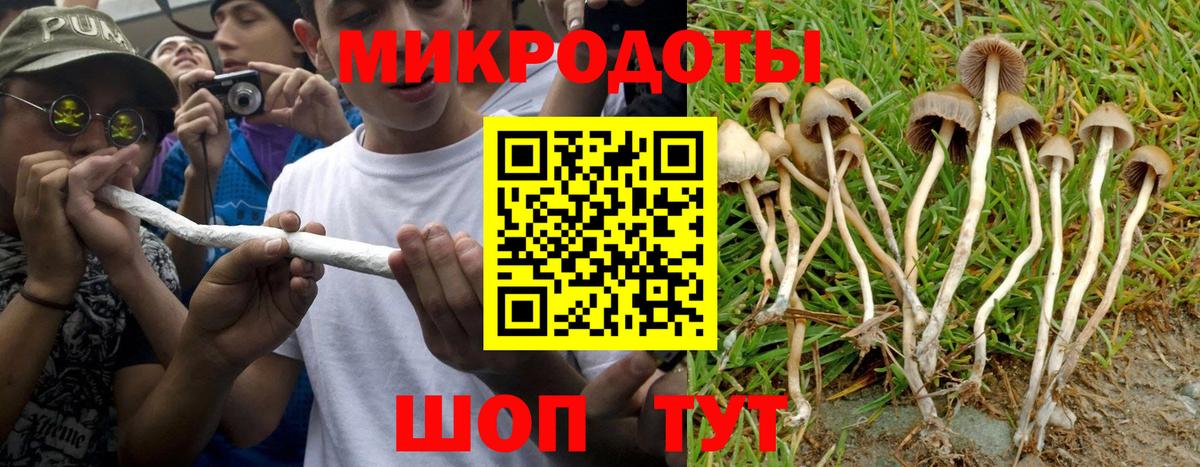 Сергиев Посад  Галлюциногенные грибы прущие грибы  где найти   Вход с VPN 